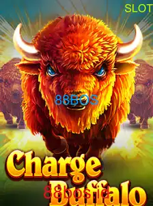 ChargeBuffalo